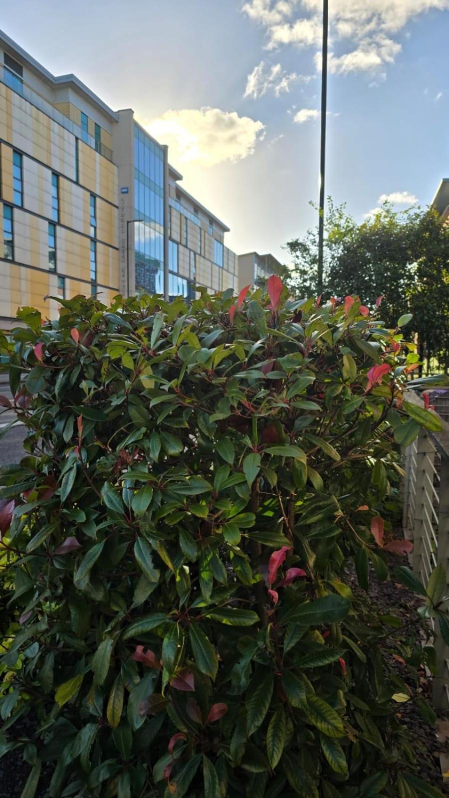 Luxury Green 1 Bed City Centre Apartment Close To Mailbox,Bullring, Broad Street For Leisure And Families Birmingham Buitenkant foto